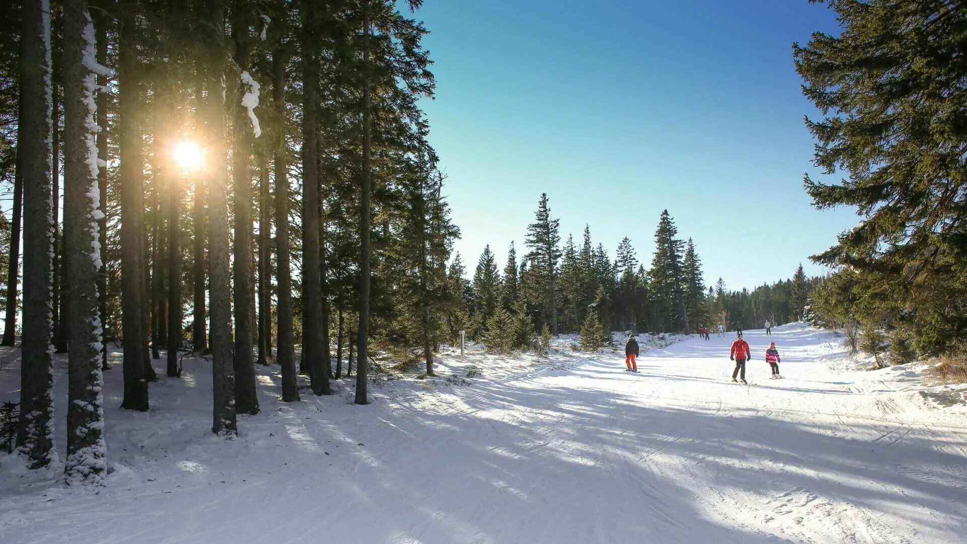 Stipulare un'assicurazione viaggio per gli sport invernali per viaggiare sicuri.