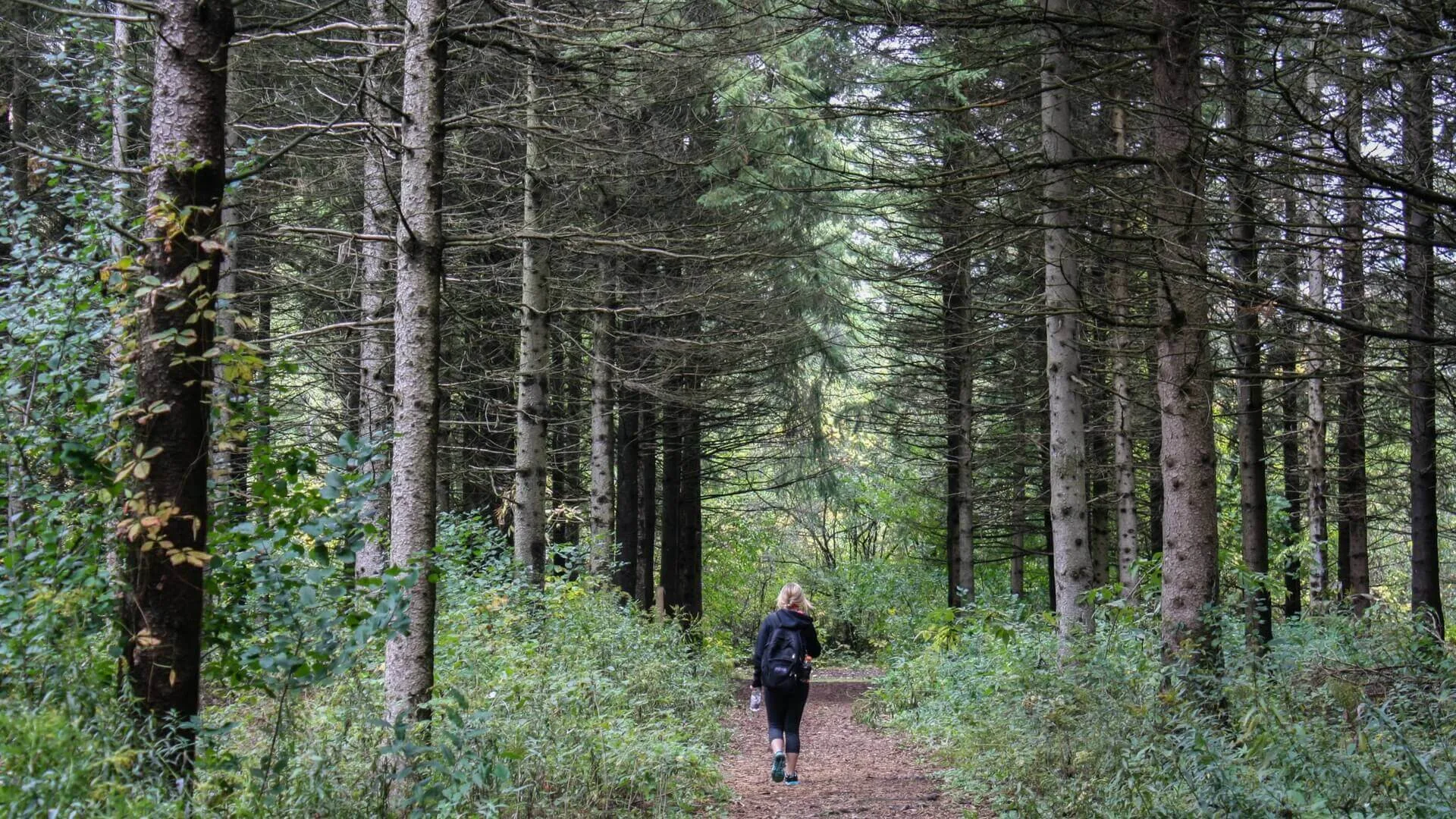 Fare escursioni da soli e rimanere sicuri.