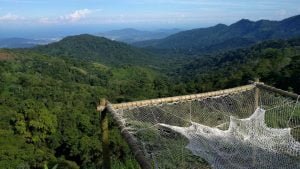 Ostello Casa Elemento e amaca più grande del mondo a Minca in Colombia.