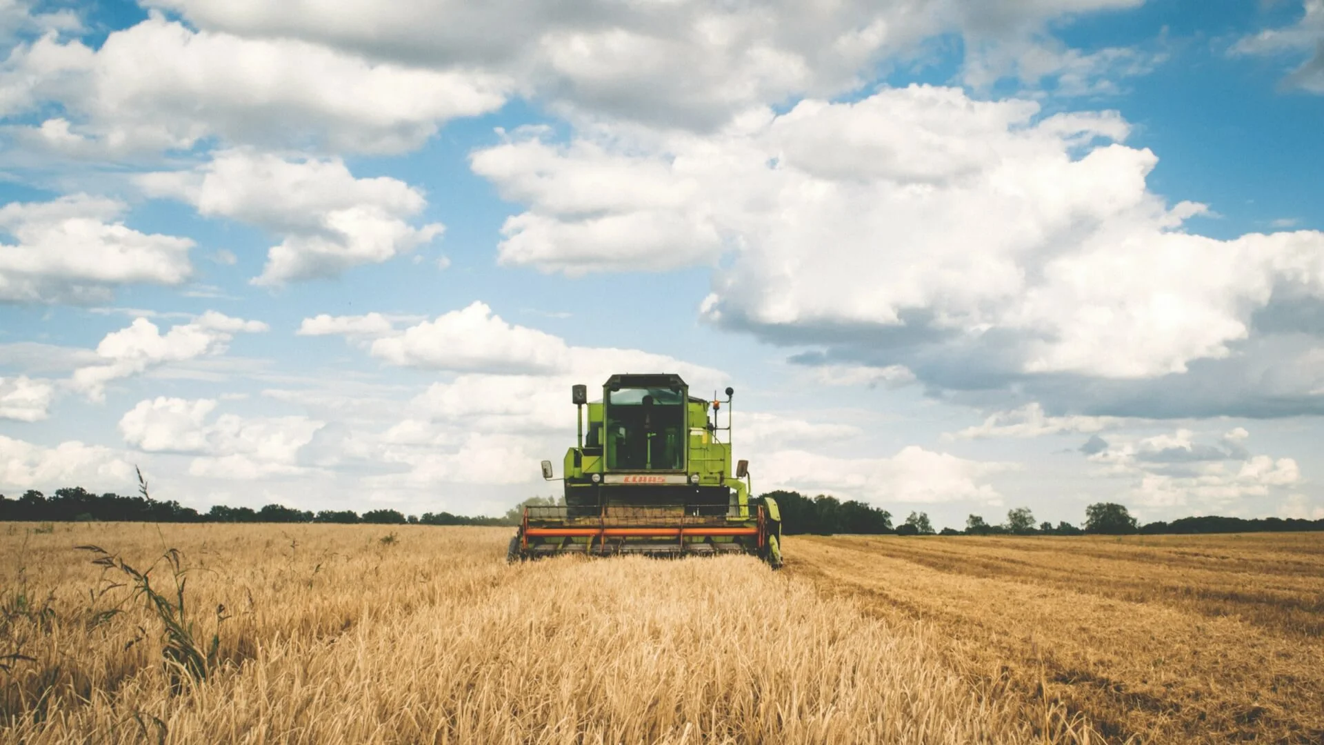 Lavorare viaggiando in Australia nelle farm.