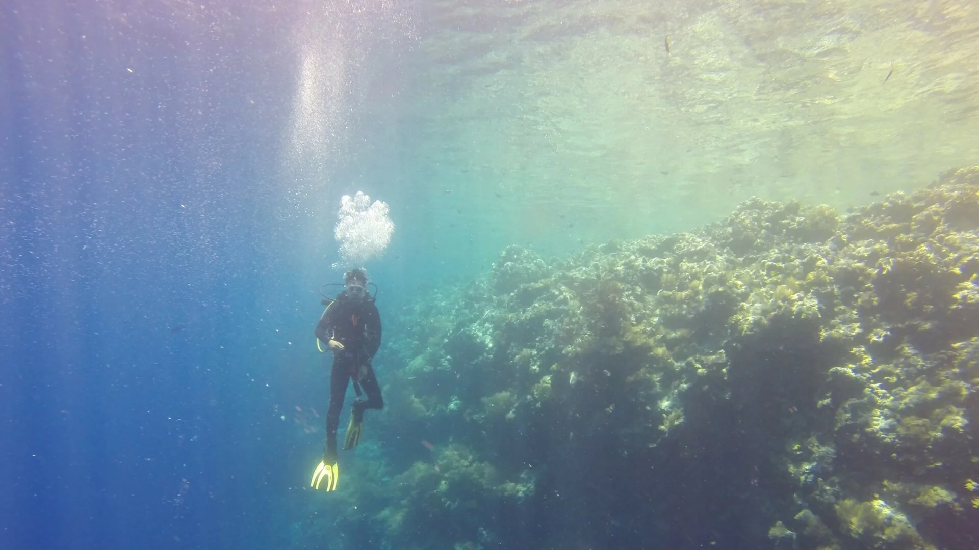 Fare il maestro di sub per vivere in paradisi tropicali mentre si lavora.