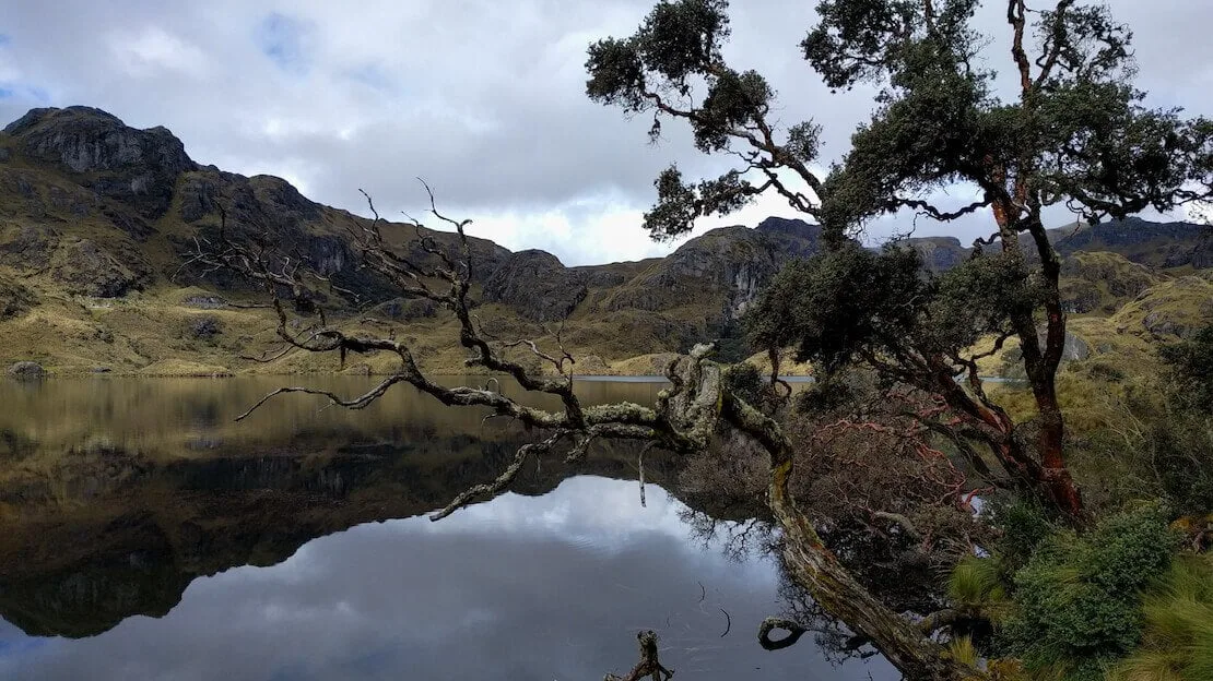 Trekking al parco nazionale la cajas vicino a Cuenca.