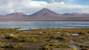 La Laguna colorada all'interno della Reserva Eduardo Abaroa