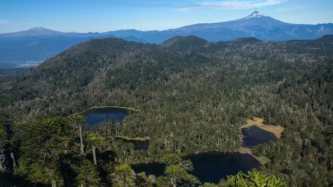 Vista dal Mirador della riserva El cani a Pucon in Cile