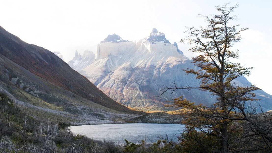 parco nazionale Torres del Paine