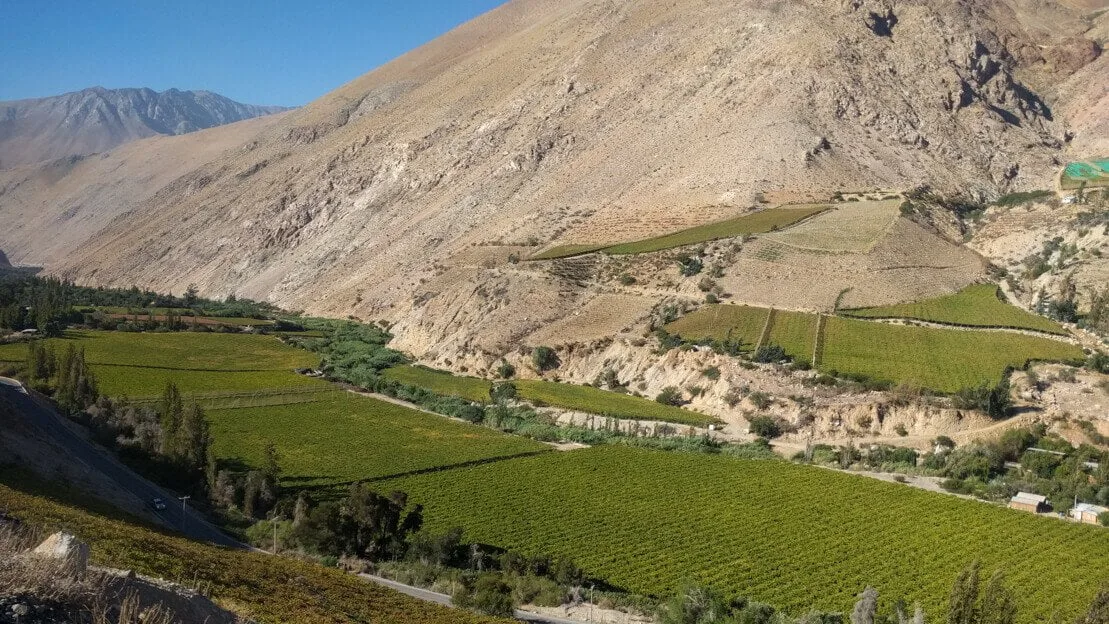 I vigneti della valla del Elqui.