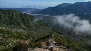 Il sentiero che porta alla base del vulcano Chaiten.