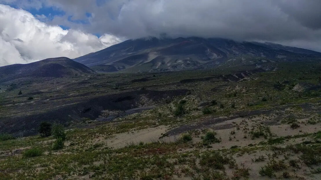 Sentiero al paso de la desolacion Parco nazionale parco nazionale Vicente Pérez Rosales