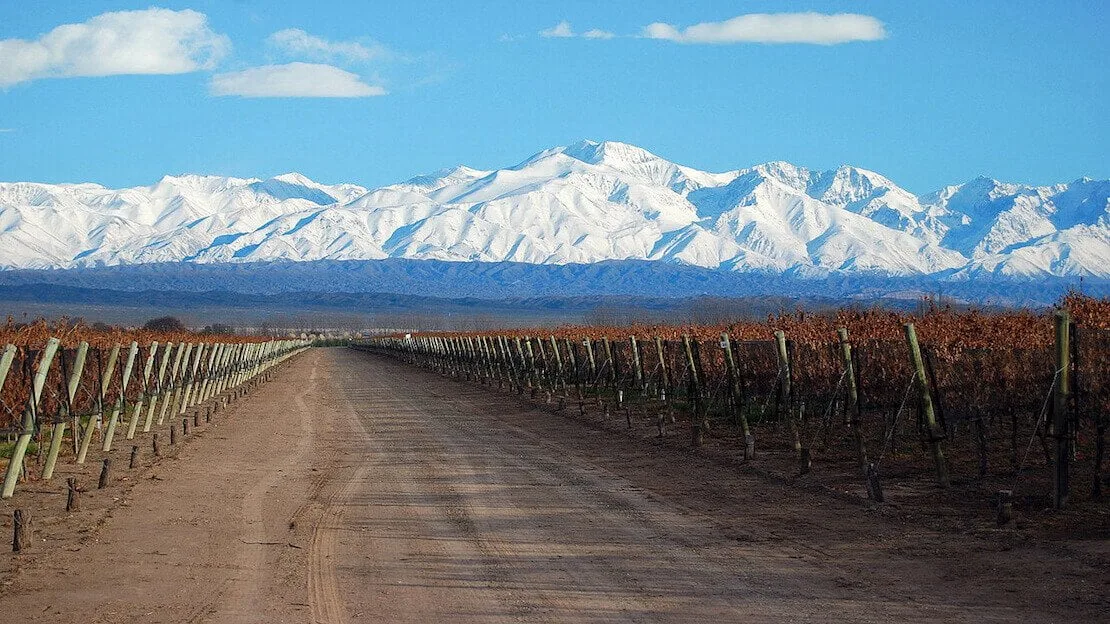 Vigneti a Mendoza con le Ande sullo sfondo