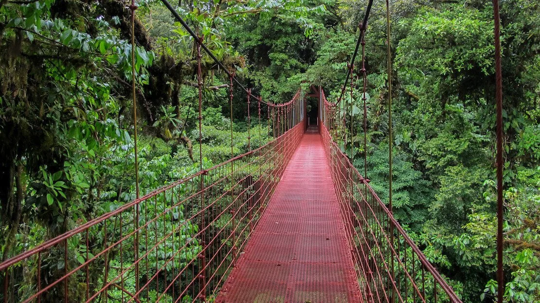 Ponte sospeso foresta nebulare costa rica