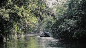Tour in Barca al parco nazionale torutguero