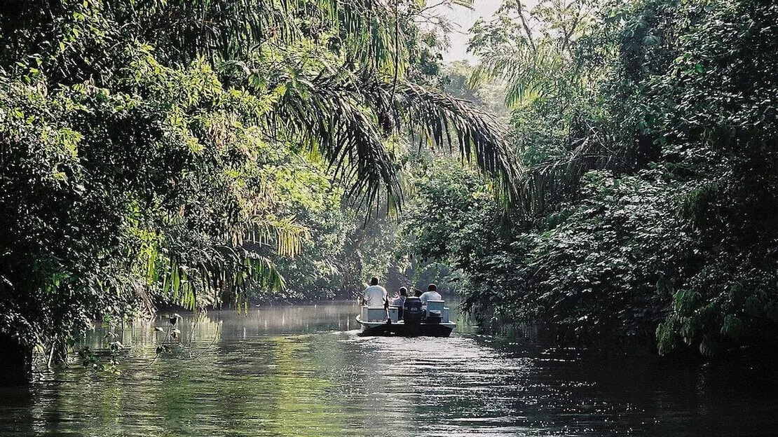 Tour in Barca al parco nazionale torutguero