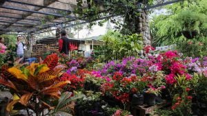 Il mercato di Valle de Anton a panama