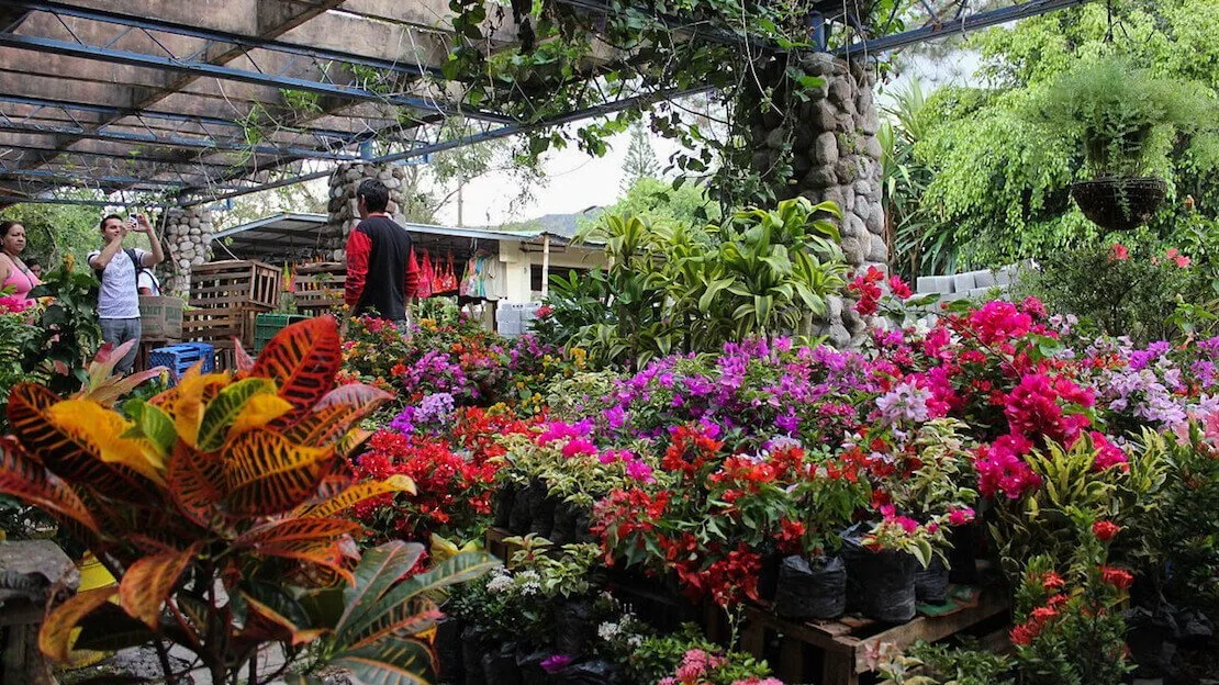 Il mercato di Valle de Anton a panama