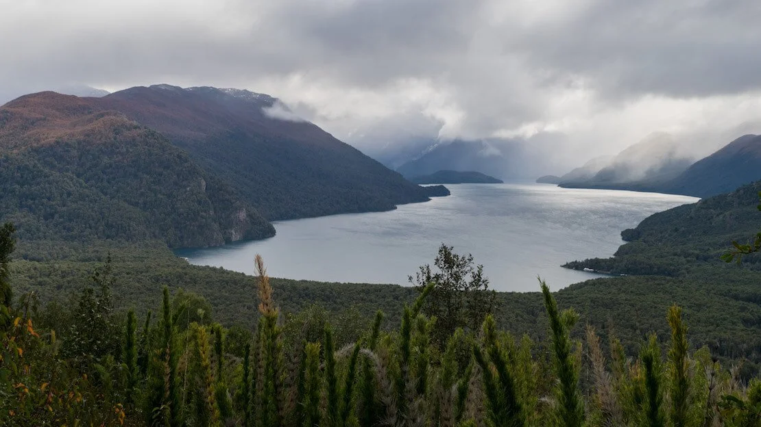 Sentiero verso laguna escondida, parco nazionale los alerces.