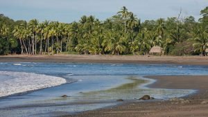 Spiaggi a Santa Catalina
