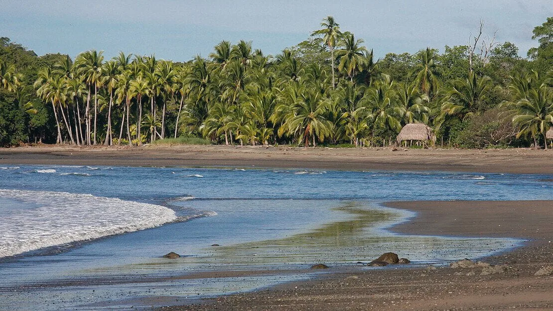 Spiaggi a Santa Catalina