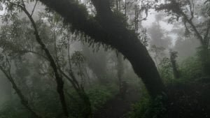 Il sentiero che porta alla cima del vulcano Acatenango
