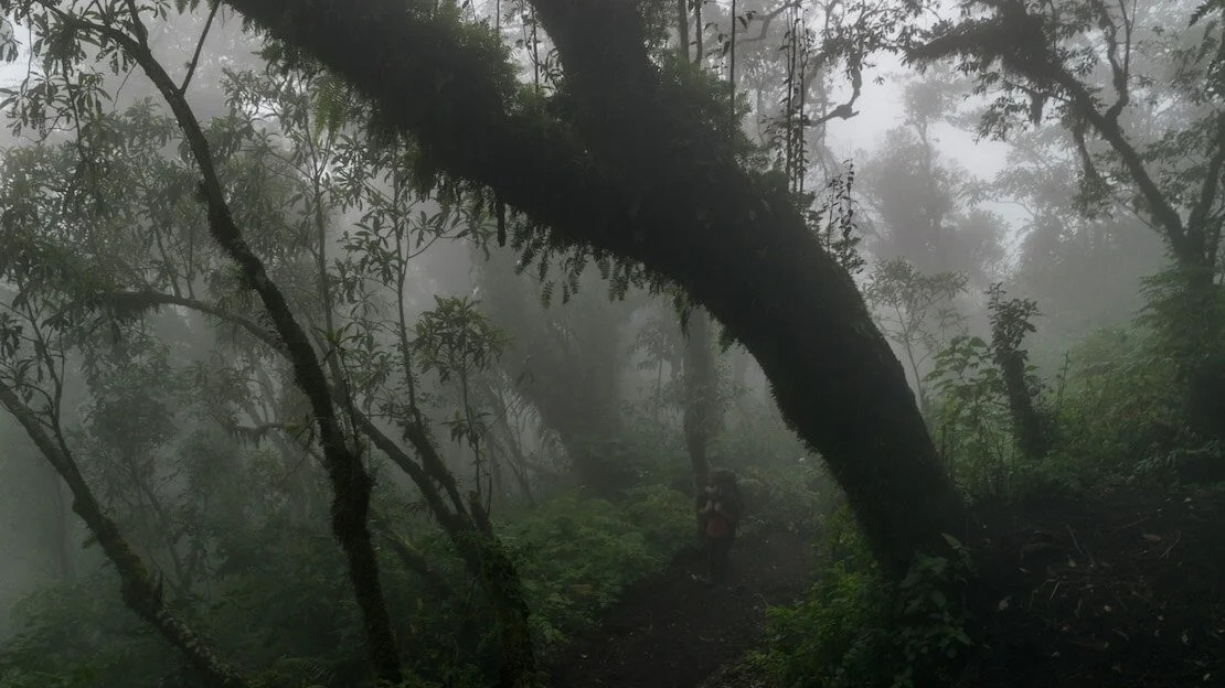 Il sentiero che porta alla cima del vulcano Acatenango