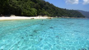 Turtle bay isole Pernhentian
