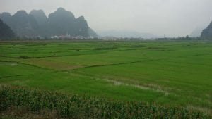 campagna nei dintorni di phong Nha