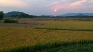 campagne del Vietnam