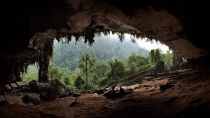 Grotte Niah parco nazionale Mulu