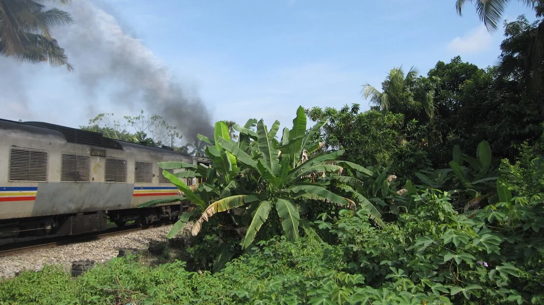 Jungle train in Malesia