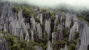 I pinnacoli del parco nazionale Mulu